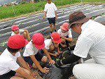 IMG_3463.jpg