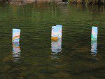 IMG_4160.jpg