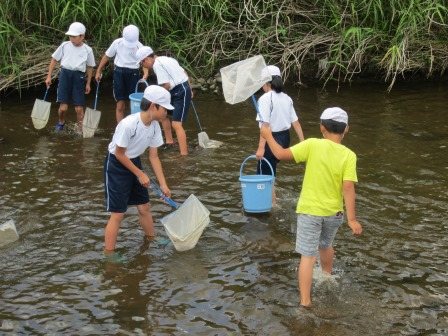 江の川の水質調査