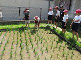 IMG_7941.jpg