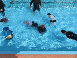 IMG_8104.jpg