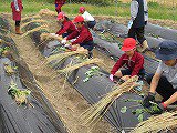 R7IMG_7757.jpg