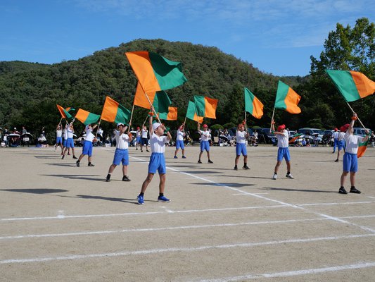 06.JPG