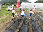 IMG_3520.jpg