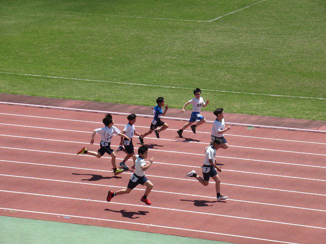 IMG_0180.jpg