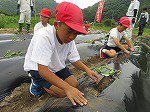 IMG_3485.jpg