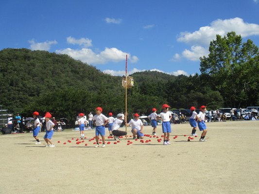 13.JPG