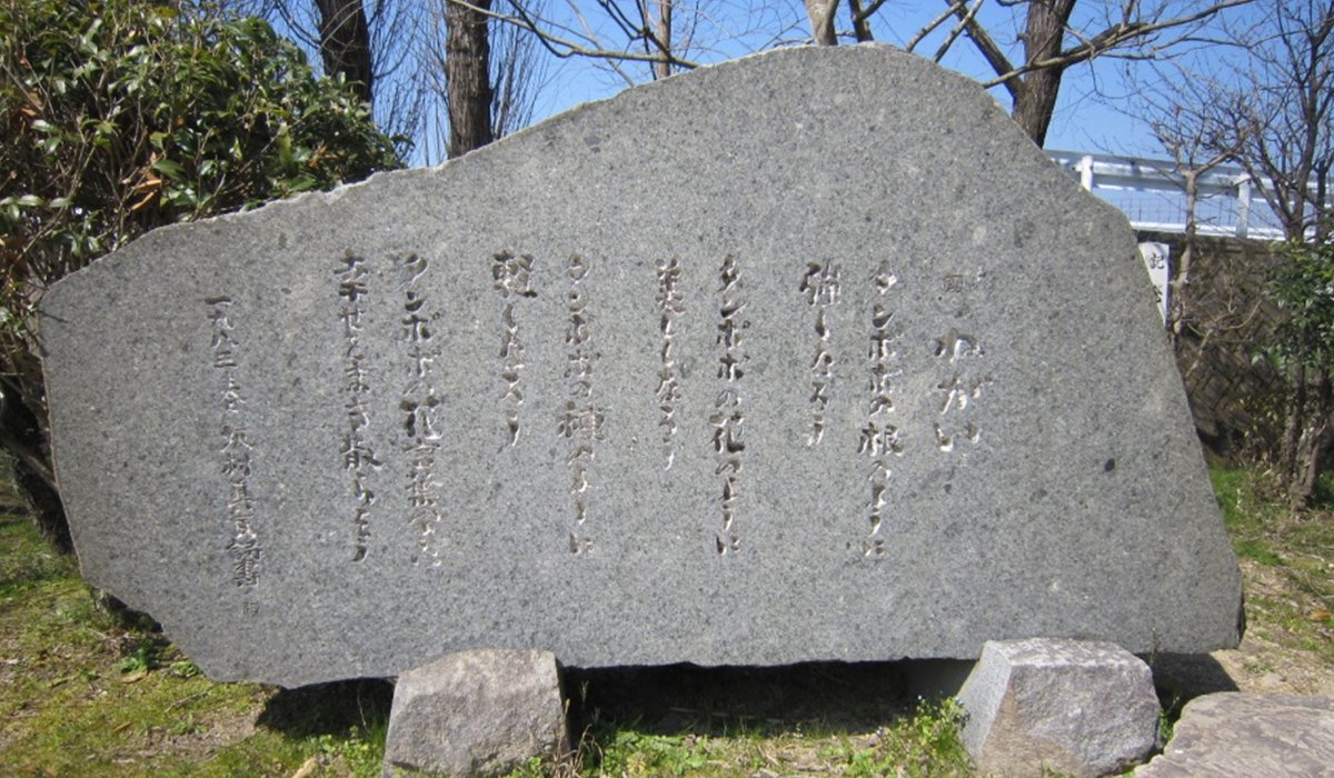 田幸小学校2