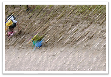unnamed file