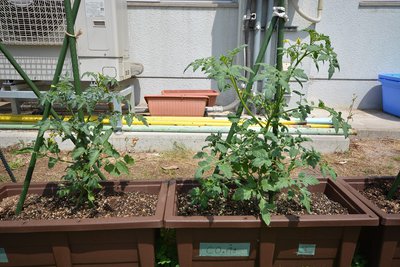 DSC_3152.jpg