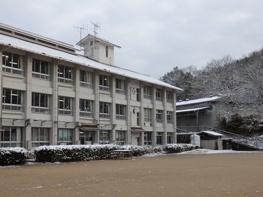 PC180002.JPG