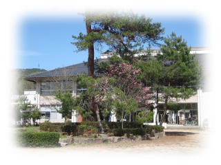 学校の様子