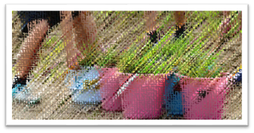 unnamed file