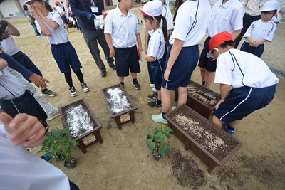 0522神タイム（全校苗植え肥料）.jpg