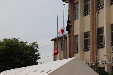 175.jpg