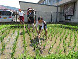 IMG_7957.jpg