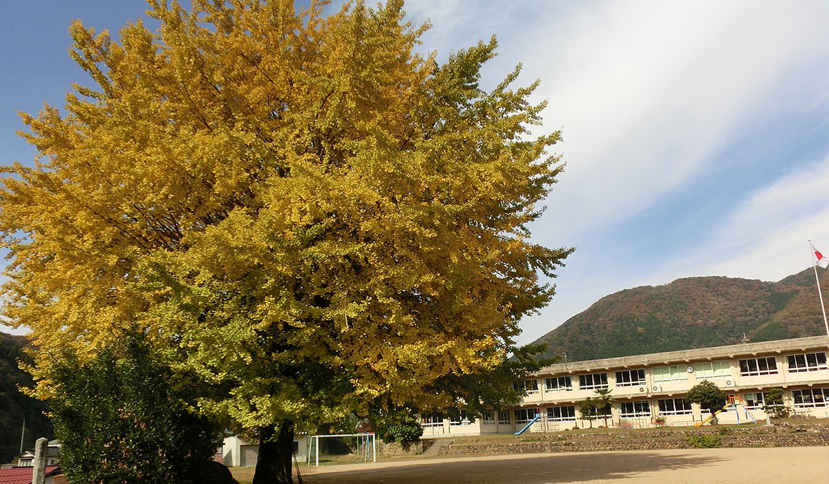 布野小学校