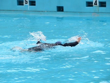IMG_4928.JPG