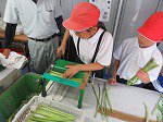 IMG_3747.jpg