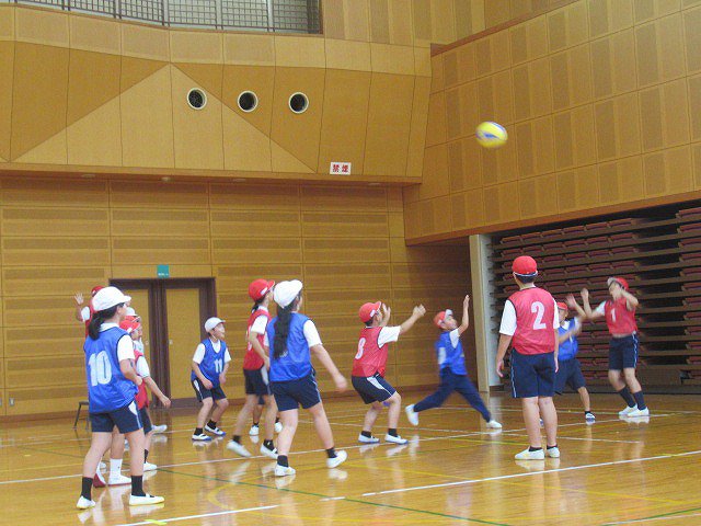 IMG_2458.jpg
