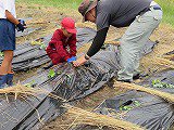 R7IMG_7768.jpg