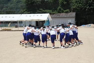 141.jpg