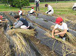 IMG_3584.jpg