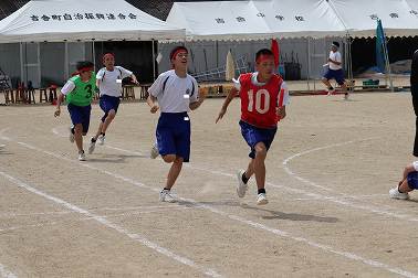 167.jpg