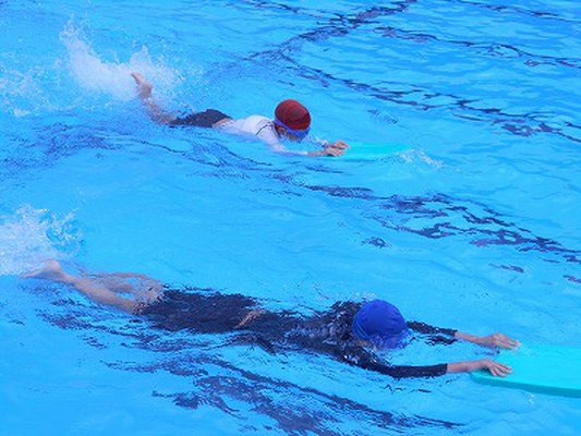 s-DSCN8346.jpg