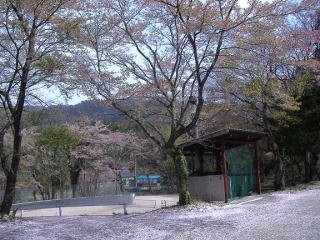 四季４