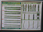 IMG_3425.jpg