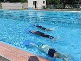 IMG_8240.jpg