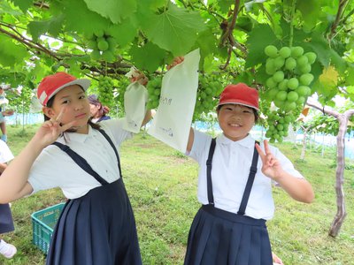 IMG_1150.JPG