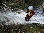 IMG_3936.jpg